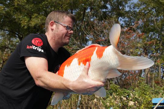 Koi Keeper Nets