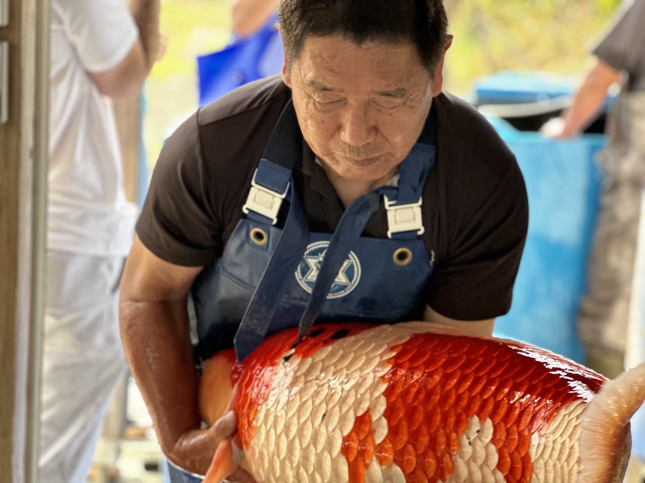 Fitz's Fish Ponds Returns to Japan for Fall Harvest Trip - POND
