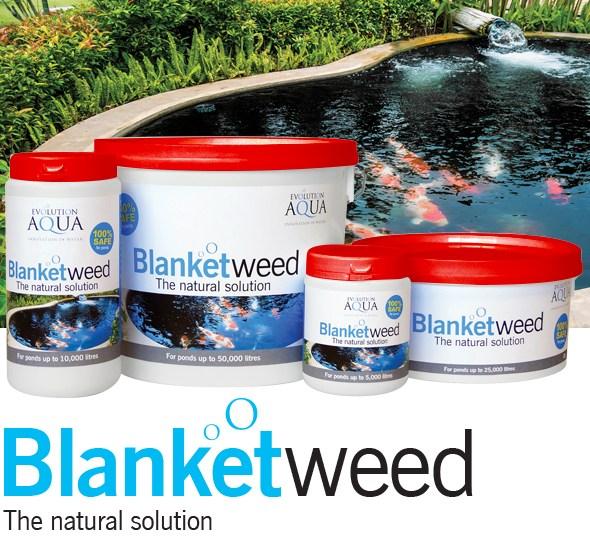 Introducing Blanketweed Solution 800Grams: Your Natural Blanketweed Solution